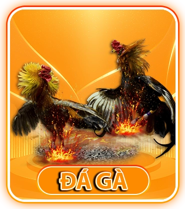 logo đá gà DAGA