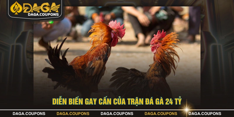Diễn biến kịch tính và đầy hấp dẫn của trận đá gà trị giá 24 tỷ